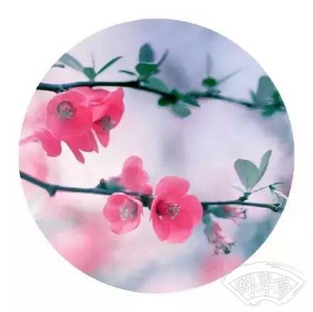 《菜根譚》最精華的10句話 字字珠璣！