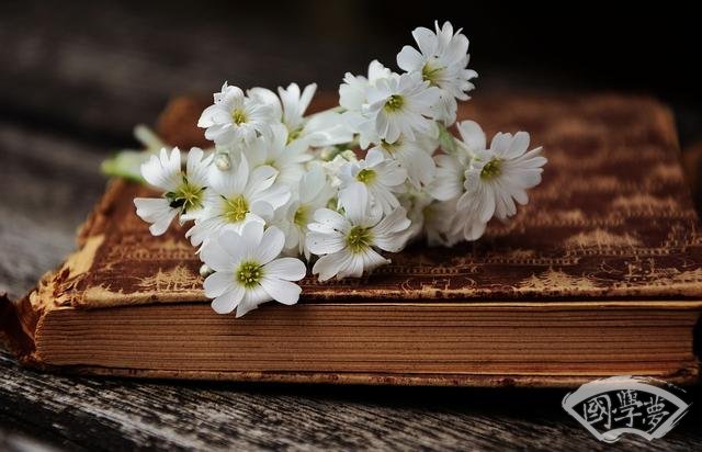 《菜根譚》：讀書多也未必是好事？！